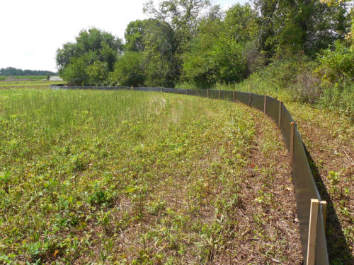 Installed silt fence running along the edge of a grassy field for sediment control